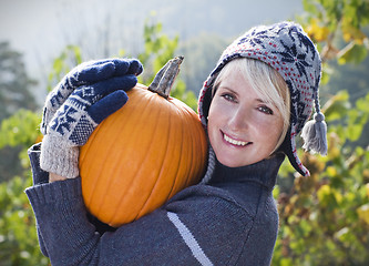 Image showing Pumpkin