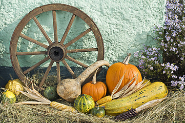 Image showing Pumpkins