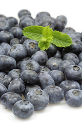 Image showing Blueberries