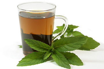 Image showing Peppermint tea