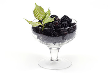 Image showing Blackberries