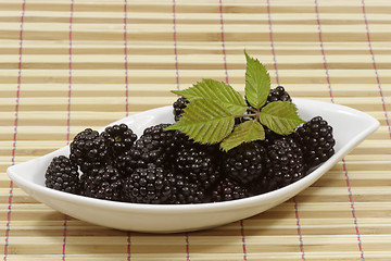 Image showing Blackberries