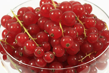 Image showing Red currants