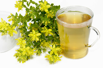 Image showing Saint-Johns wort tea