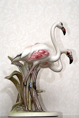 Image showing Flamingo