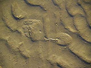 Image showing sandy ground footprint
