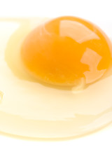 Image showing chiken egg