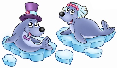 Image showing Wedding with cute seals