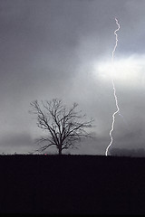 Image showing Lightning 