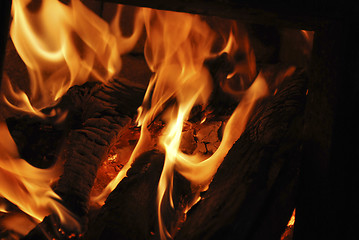 Image showing fire