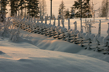 Image showing Fence covered by snow