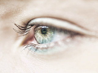 Image showing Eye macro