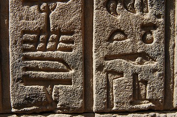 Image showing Hieroglyphics