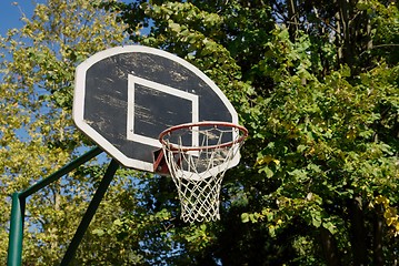 Image showing Basketball