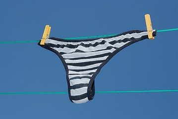 Image showing Panties