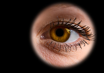 Image showing woman gold  eye