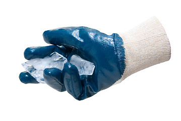 Image showing Blue glove hold blocks of ice