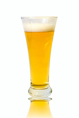 Image showing Glass of beer