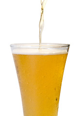 Image showing Glass of beer close-up 
