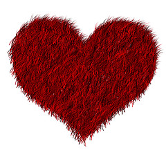 Image showing Red furred heart