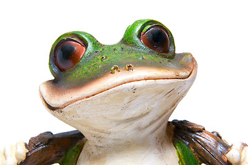 Image showing frog macro