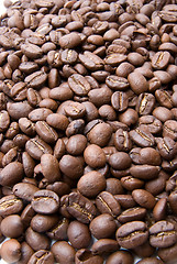 Image showing Coffee beans texture