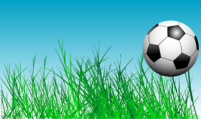 Image showing soccer ball in the grass