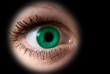 Image showing woman green eye 