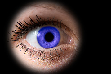 Image showing woman blue eye
