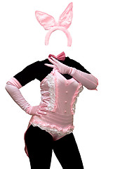 Image showing Sexy bunny costume