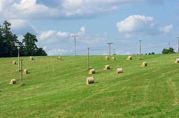 Image showing Field