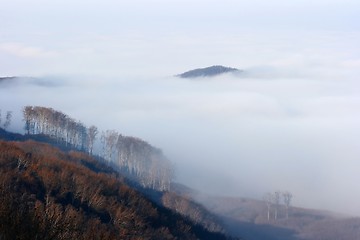 Image showing Foggy