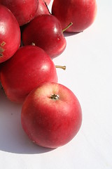 Image showing James Grieves apples