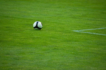 Image showing Black and white football in green grass