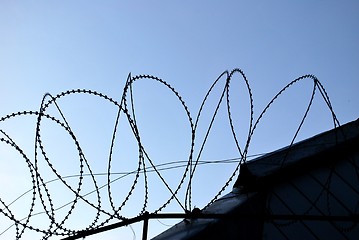 Image showing Barbed Wire