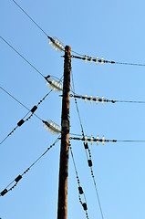 Image showing Electrical pole