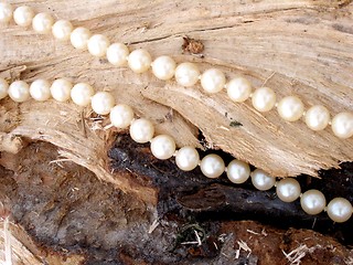 Image showing pearl chain