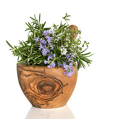 Image showing Rosemary and Thyme Herbs