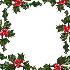 Image showing Holly Leaf  Frame