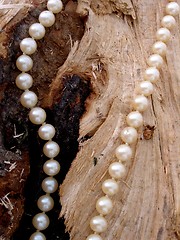 Image showing pearl chain