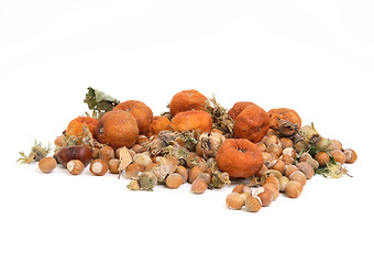 Image showing Hazelnuts