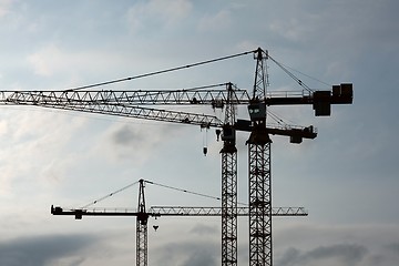 Image showing Cranes