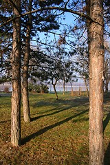 Image showing Park