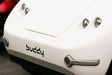 Image showing Buddy