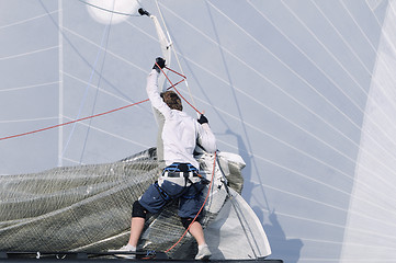 Image showing Sailing