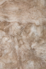 Image showing Insulation