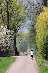 Image showing Jogging in a Park