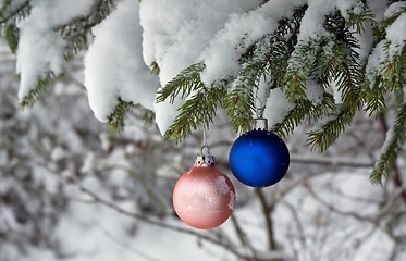 Image showing Christmas Tree Ball