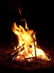 Image showing Campfire