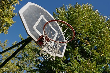 Image showing Basketball